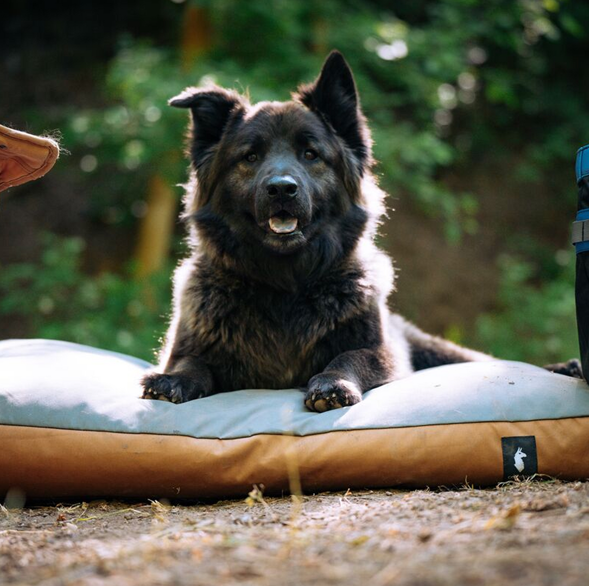 Del Día Dog Bed - US 3914