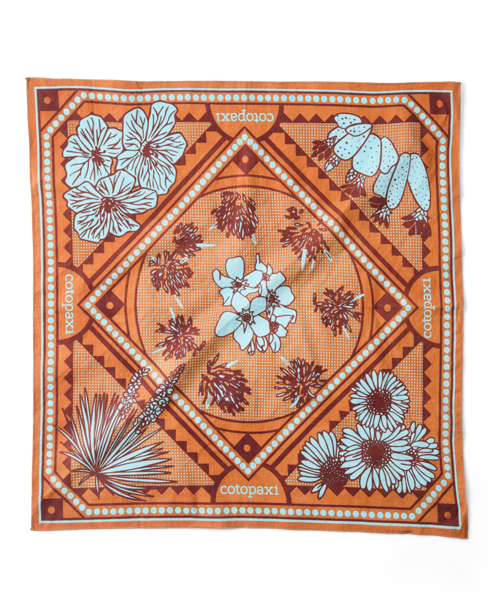 Organic Cotton Bandana - Desert llama - US 1730