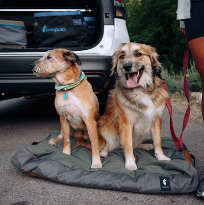 Del Día Dog Bed - US 3371