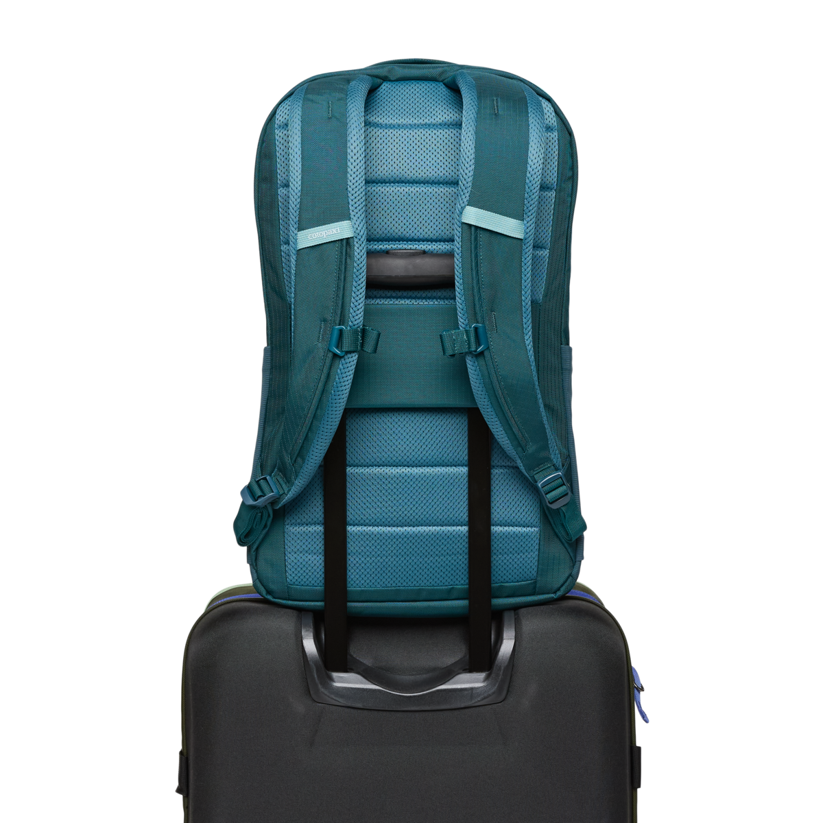 Allpa 26L Daypack - Blue Spruce/Abyss - US 2621