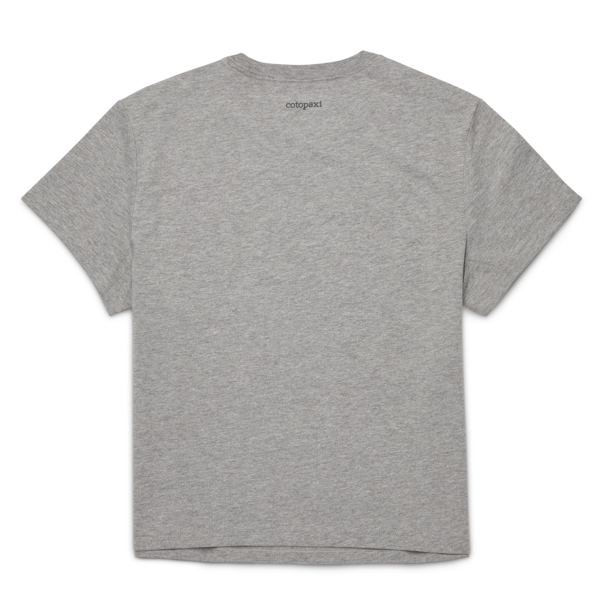 Llama Icon T-Shirt - Women's - Heather Grey - US 4654
