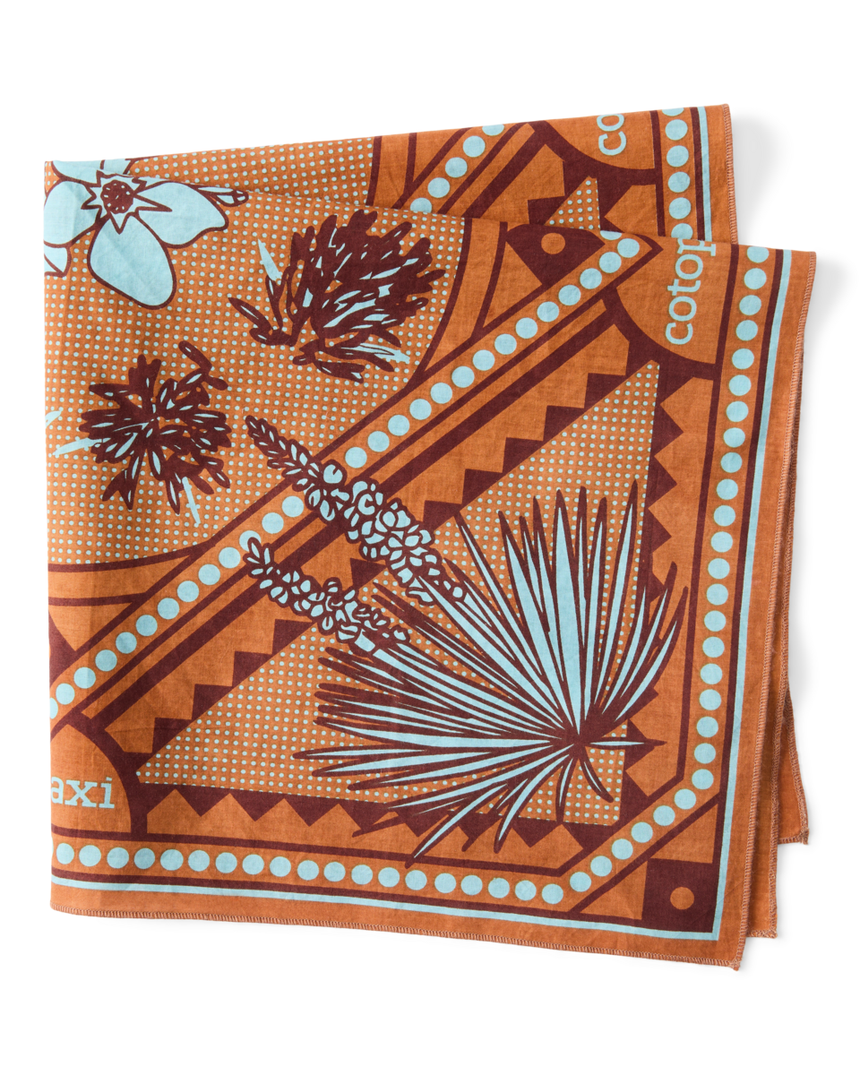 Organic Cotton Bandana - Desert llama - US 7274