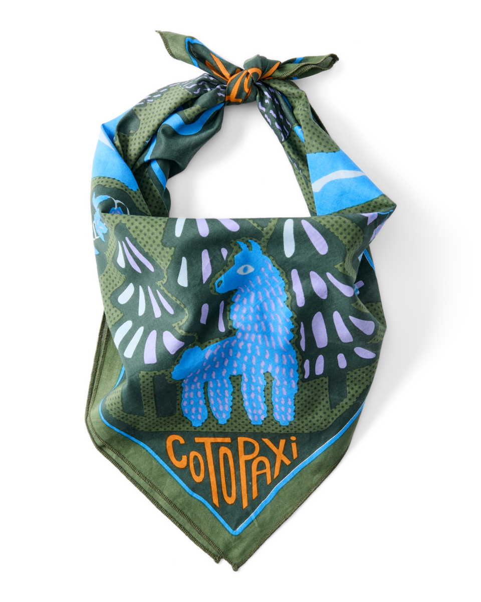 Organic Cotton Bandana - Llama Camp Bandana - US 9270